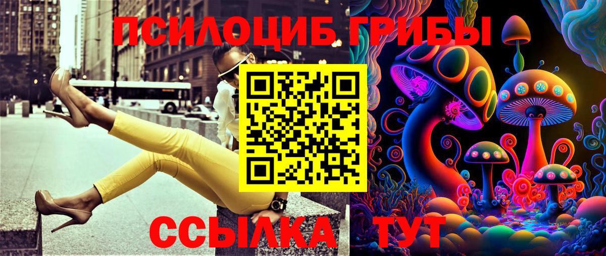 Галлюциногенные грибы мухоморы Мурманск