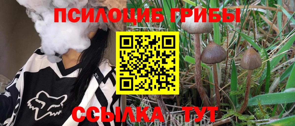 Мурманск  как найти закладки  Вход с VPN  Галлюциногенные грибы мицелий 